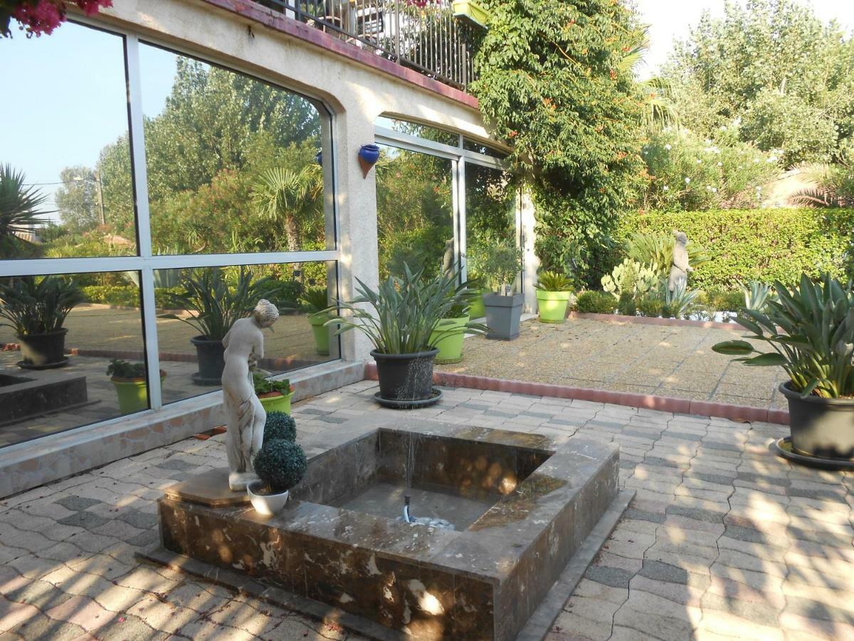 Maison Monica Exeptionnel Coursan Exterior foto